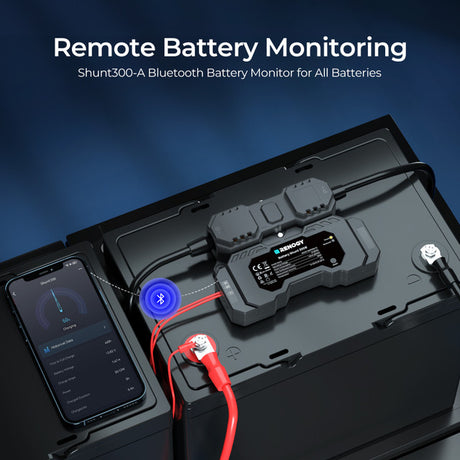 Renogy 300A Battery Shunt with Bluetooth