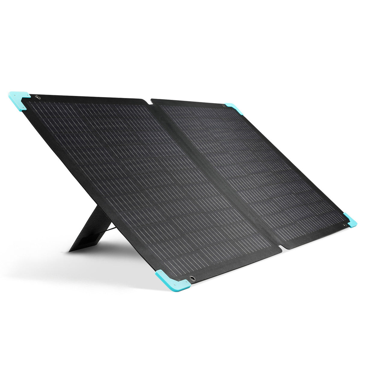 Renogy E.FLEX 120 Portable Solar Panel