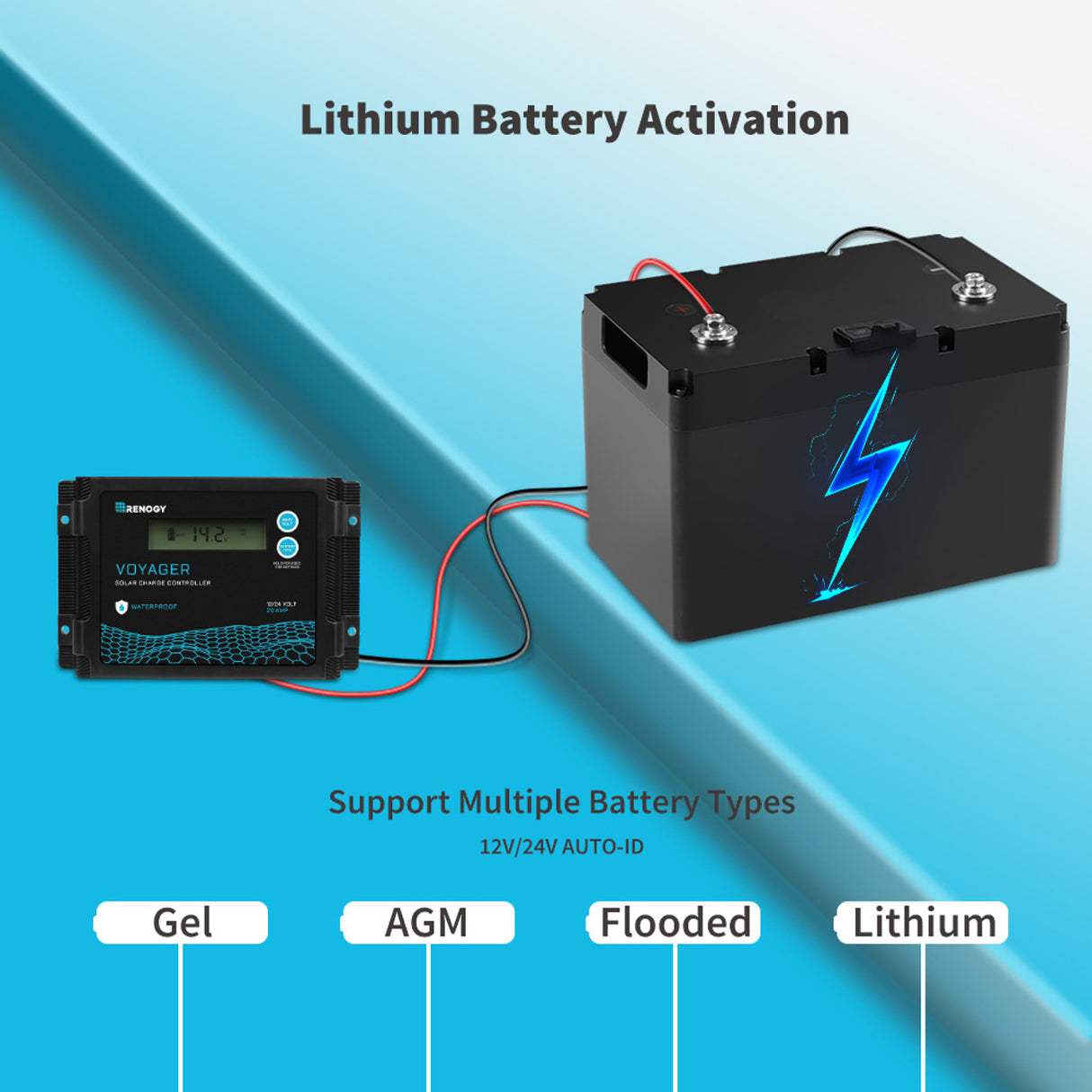 Renogy Voyager 12V 20A Waterproof PWM Charge Controller