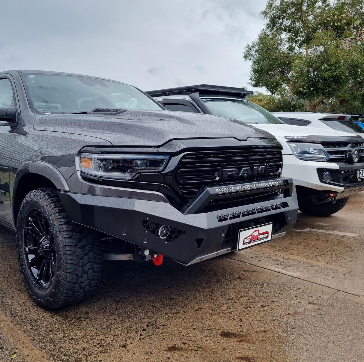 Offroad Animal Predator Bull Bar for Ram 1500 DT 2021 to Current